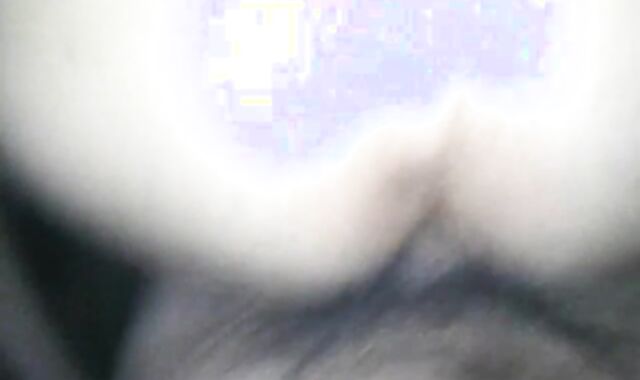 Bred by a Puerto Rican cumbot