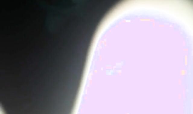 Bred by a Puerto Rican cumbot