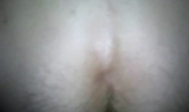 Bred by a Puerto Rican cumbot