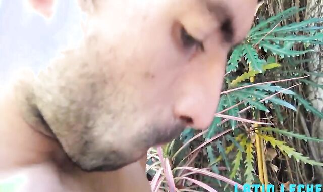 Brazilian bang-out cream Pies