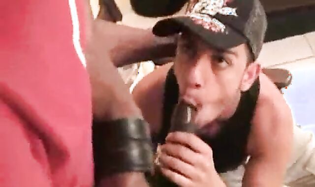 The majority excellent Blatinos Around