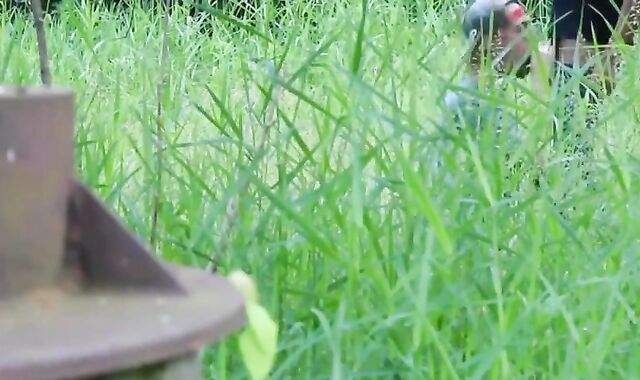 first-timer twunks ass naked outdoors