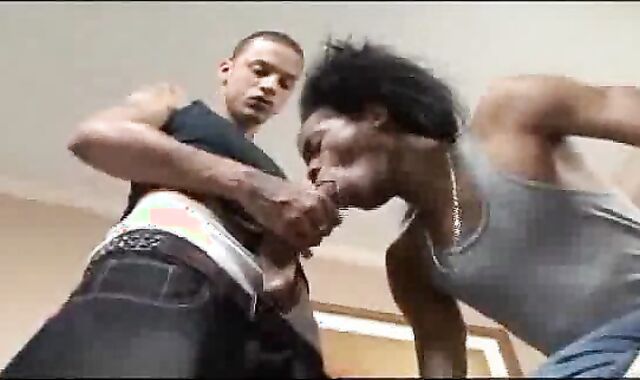 King Dingo Does Allurement Right--plumb gauze