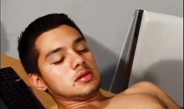 Brazilian cub in fever