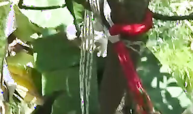 nubile latinos have trampy pucker banging outside