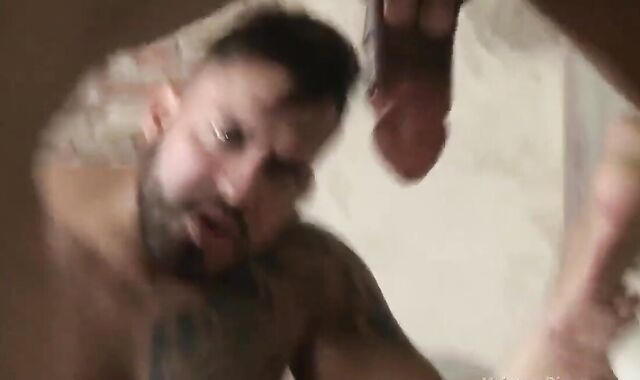 Viktor Rom, Gabriel Taurus And Ivan Gregory (MM)