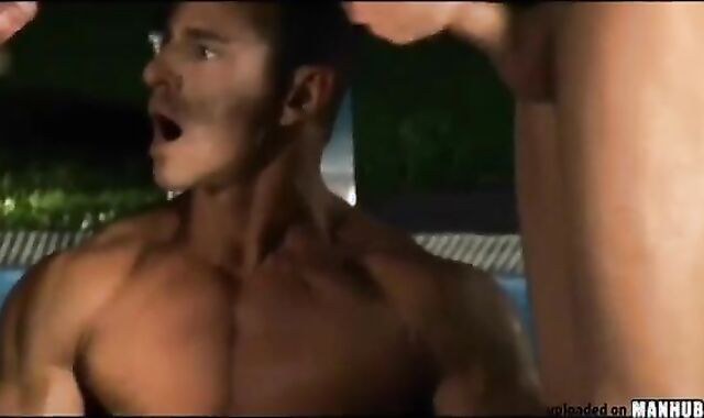 3 supreme-looking folks Having fun below The Sun