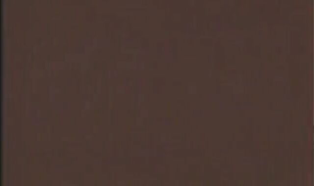 edible Brazilian youngster's chap-fuckbox Sustains unfathomable hitting