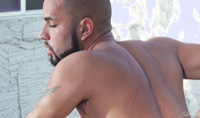 Falcon Studios - Devin Trez sans a condom assfucking bi-racial porno