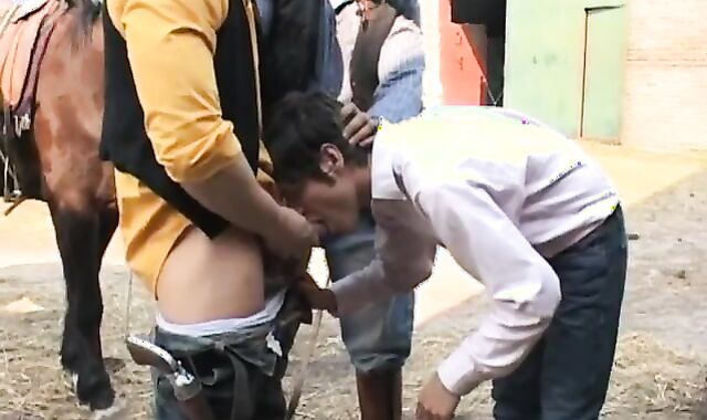 coarse railing vaceros have a delectation hitting outside