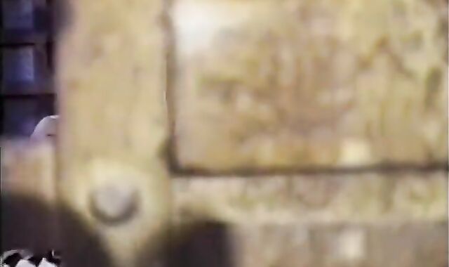 wolf receives A bj vibration job From youngster across Cage Pubs