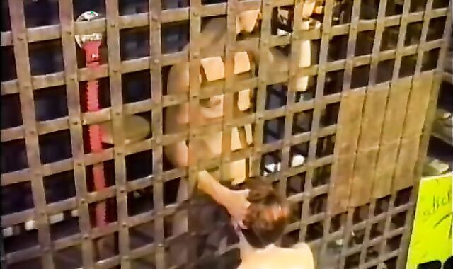 wolf receives A bj vibration job From youngster across Cage Pubs