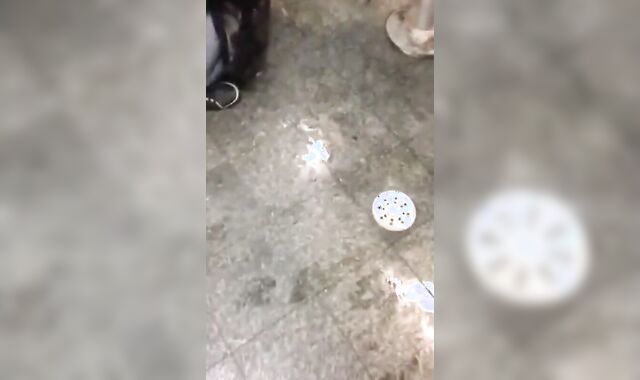 Blowjob Public Restroom