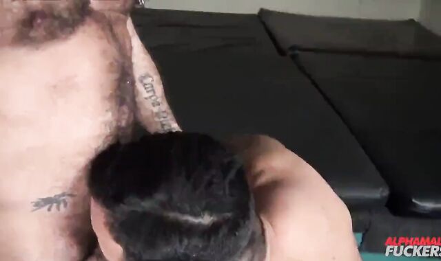 Alessio Romero And Vinnie Stefano (BOAR P4)