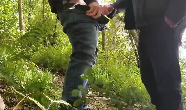 Cruising Wank and Blowjob with 2 guys