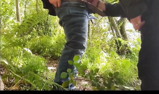 Cruising Wank and Blowjob with 2 guys