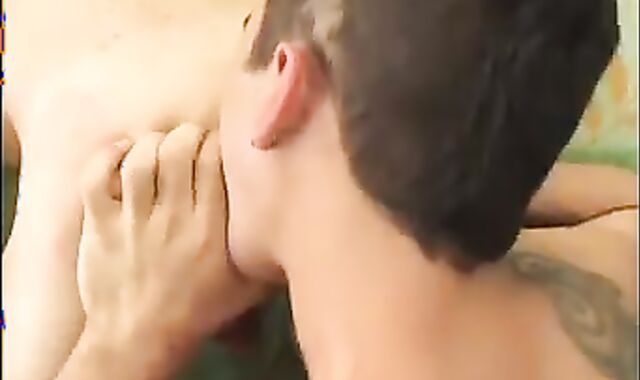 BBFeve