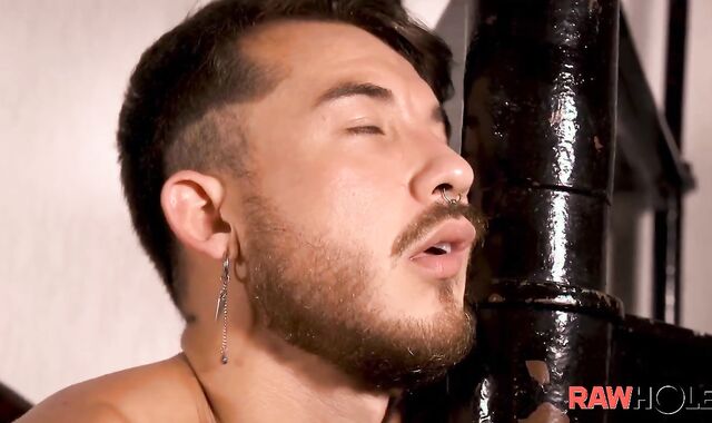 Rawhole: Pytter Fox plumbed by uncircumcised pipe Lucas Franfreich