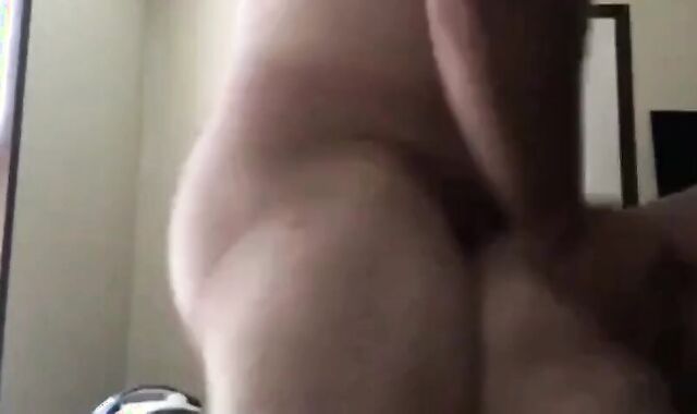 Southern redneck Bears breed