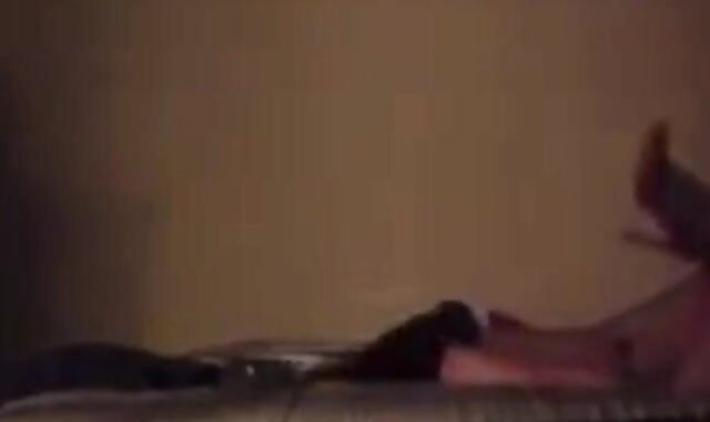 CD Fucks First Timer