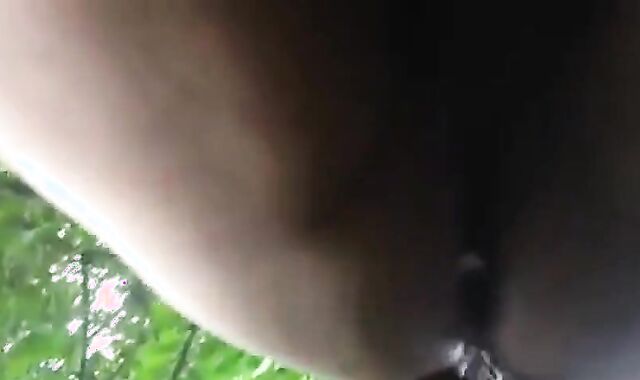 Chichaera En El Parque