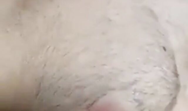 Big-Cock Hunk Strokes to Porn