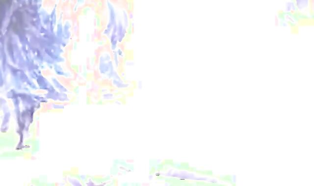 Bareback Amateur Crossdresser Sex