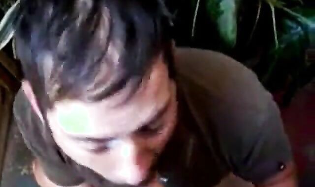 Bearded Daddy Blowjob by the Roadside