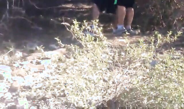 Horny Daddies Cruising on the Road