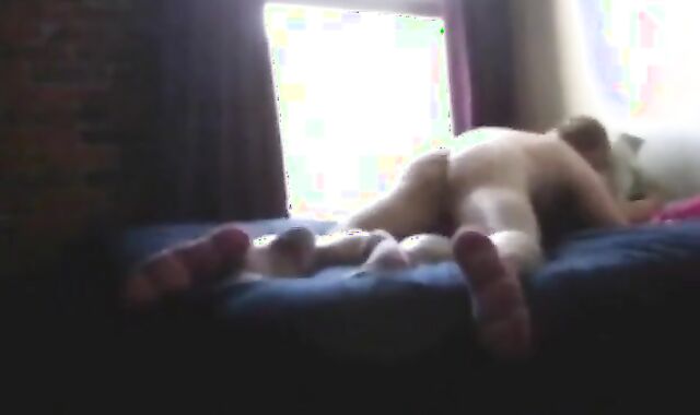 Bareback Amateur Hot Man