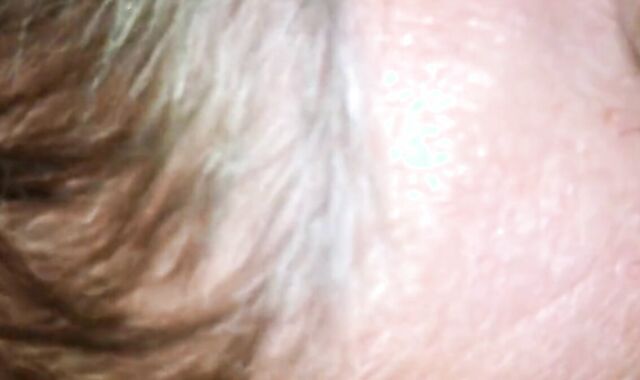 Harley's Blowjob Adventure with Daddy