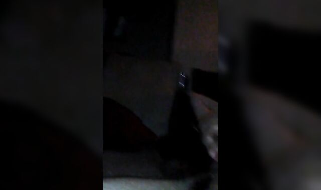 Mr. Steele's Big Cock Sucked by a Skinny Twink