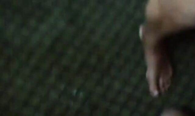 Daddy's Liquid Lunch in the Office