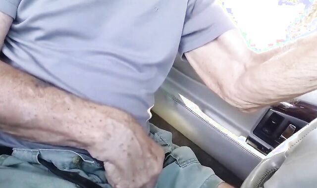 Grandpa Sucks Outdoors in His Car