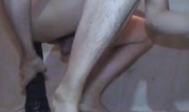 Extreme Anal Fisting and Toying on Webcam