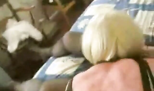 Amateur Crossdresser Blowjob