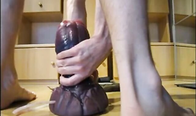 First Ride: XL Crackers Cockatrice