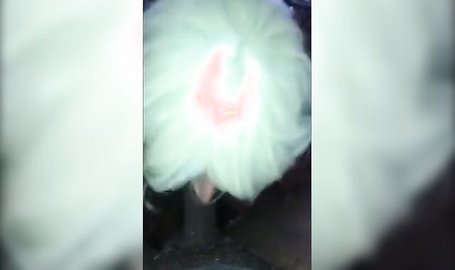 Sissy's First BBC Blowjob Experience