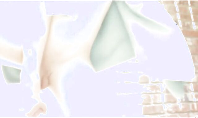 Exhibitionist Twinks Love Outdoor Handjobs on Webcam