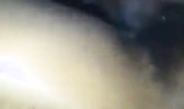 Black Dick Raw Fucks White Boy