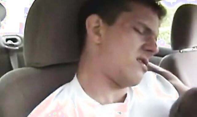 Roadside Blowjob and Handjob