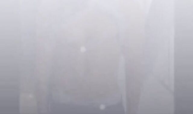 Muscle Hunks: Eddyfitt's Sexy Twink Showoff