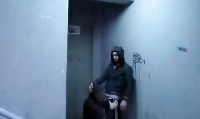 Surprise Outdoor Blowjob