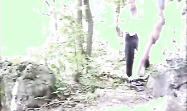 Found a Chubby Daddy out in the woods, Toronto, Canada