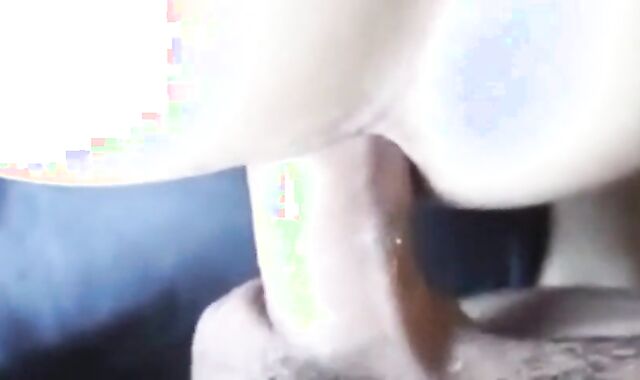 Creaming a Gaping Crossdresser's Hole