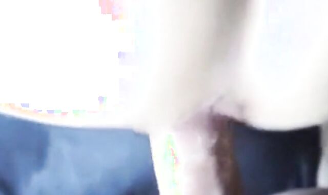 Creaming a Gaping Crossdresser's Hole