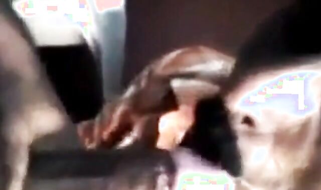 Grandpa Sucks Indian Amateur