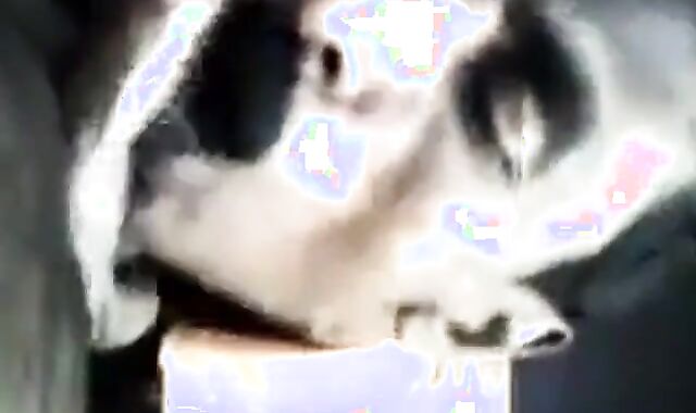 Grandpa Sucks Indian Amateur