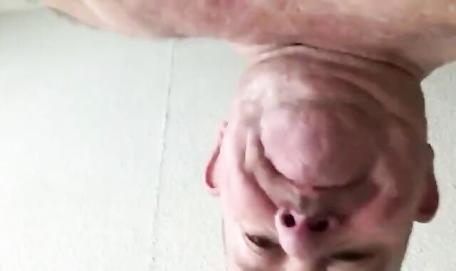 Fat Daddy Bear Barebacks Younger Bear Cub