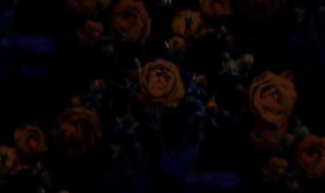 Rubberslave Worships Roxy's Big Cock